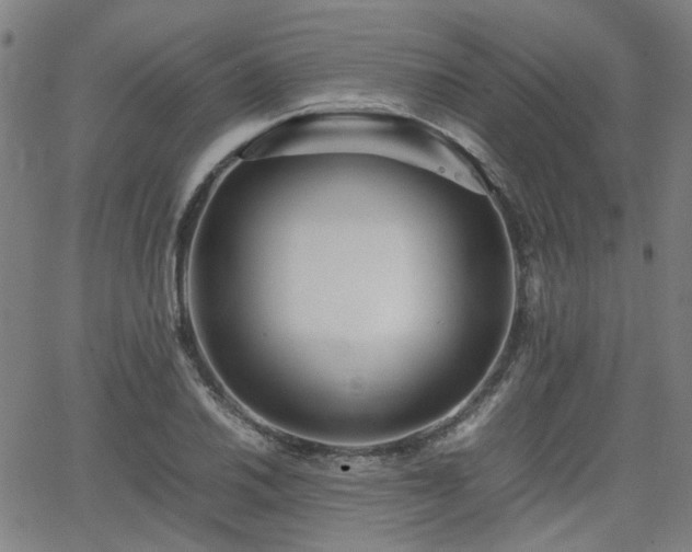 X0000062651030200512230850