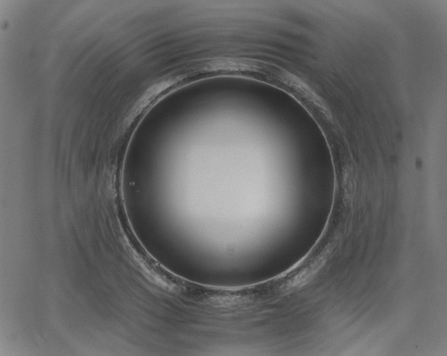 X0000062651033200512230850