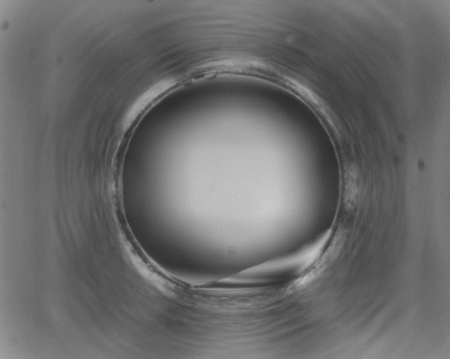 X0000062651042200512230851