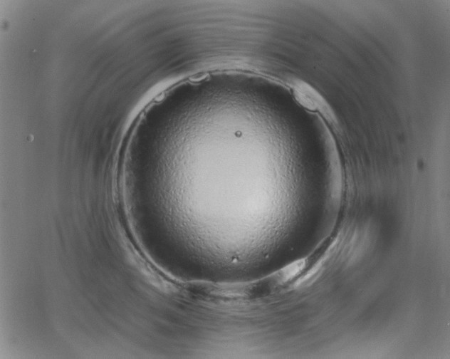 X0000062651052200512230851