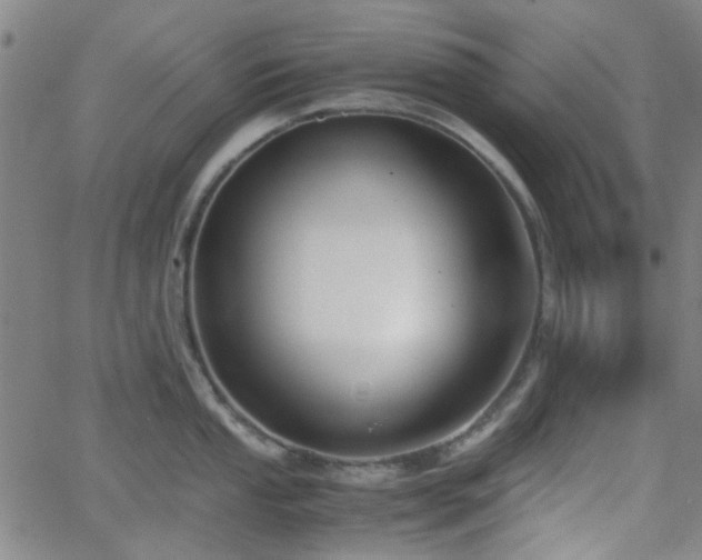 X0000062651053200512230851