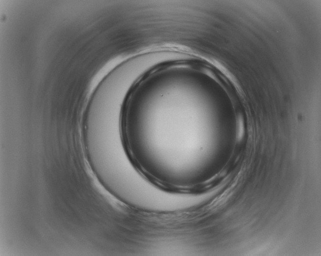 X0000062651054200512230851