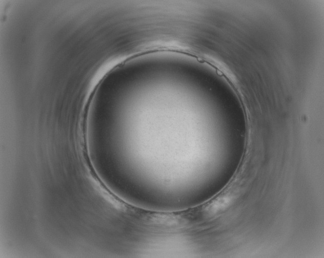 X0000062651056200512230851