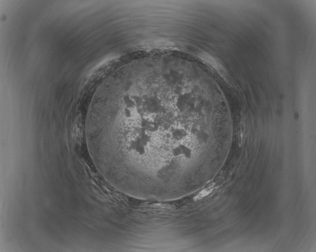 X0000062651063200512230850