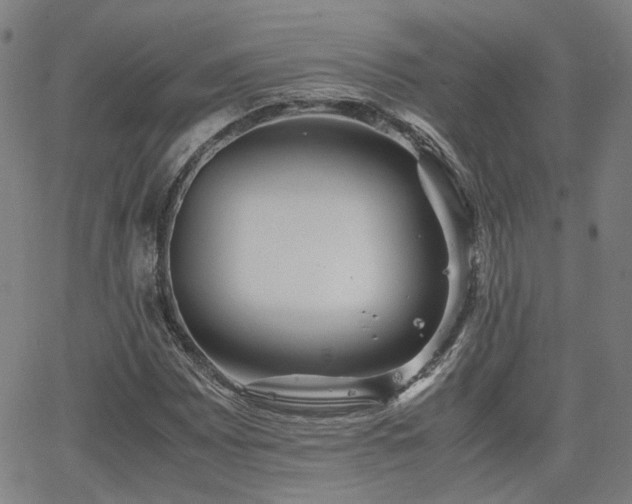X0000062651065200512230850