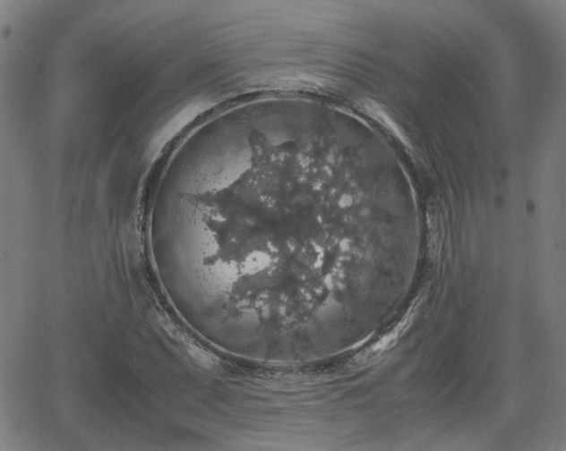 X0000062651071200512230850