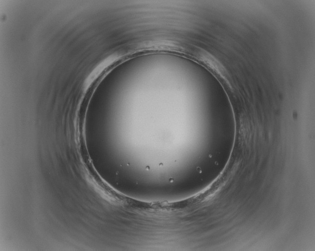 X0000062651082200512230850
