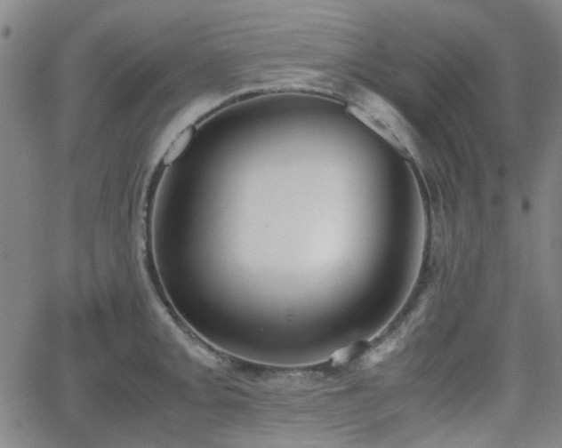 X0000062651093200512230849