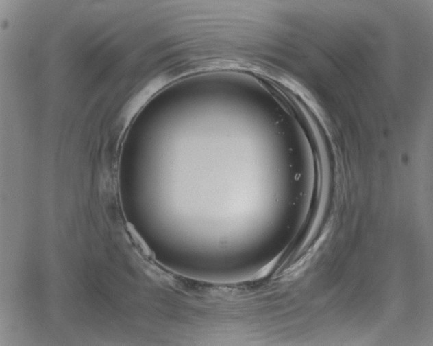 X0000062651097200512230849