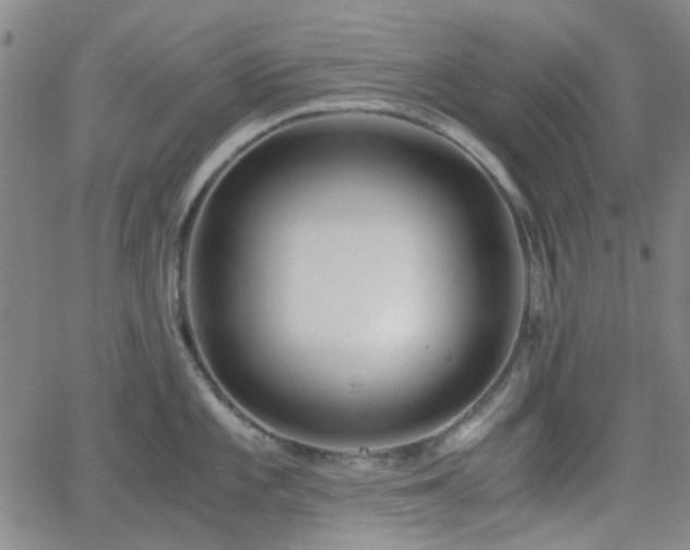 X0000062651101200512230849