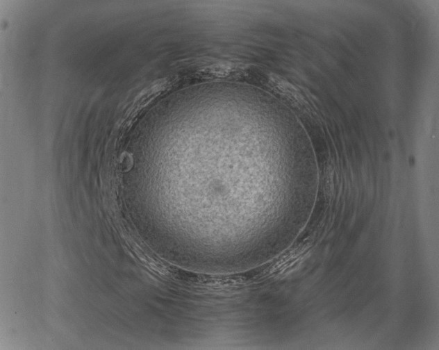 X0000062651105200512230848