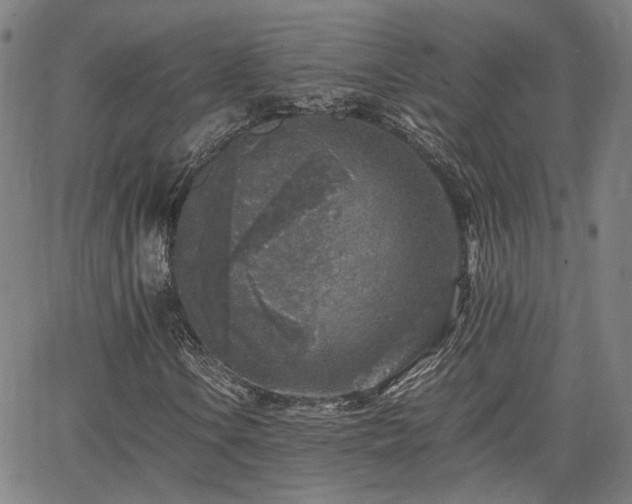 X0000062651106200512230849