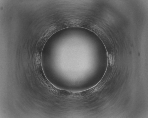X0000062651107200512230849