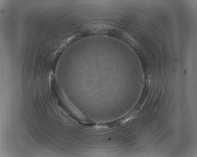X0000062651108200512230849