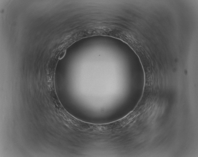 X0000062651109200512230849