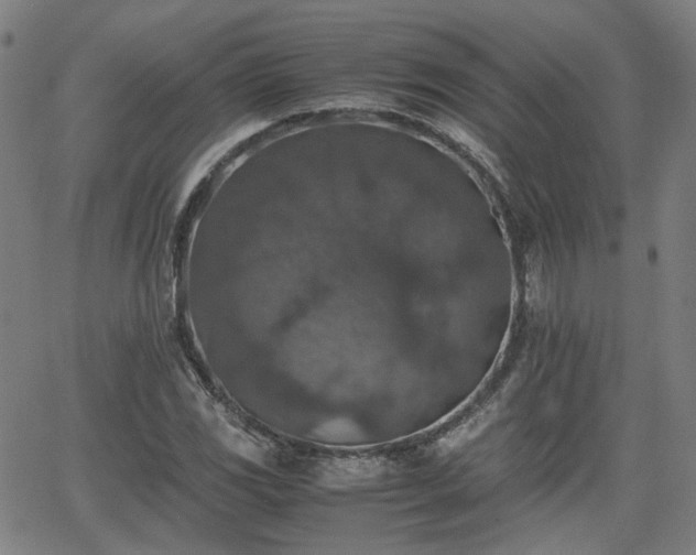X0000062651117200512230849