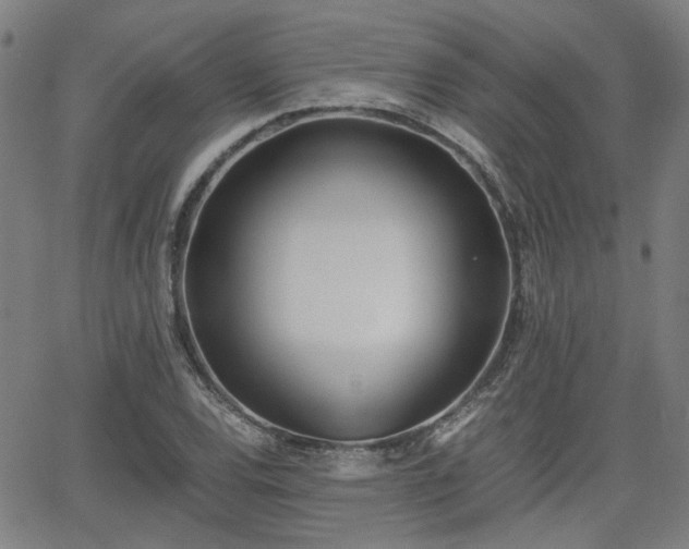 X0000062651120200512230849