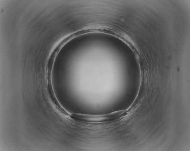 X0000062651124200512230849
