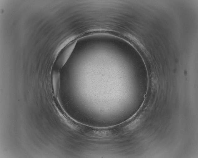 X0000062651129200512230849
