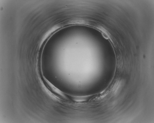 X0000062651139200512230849