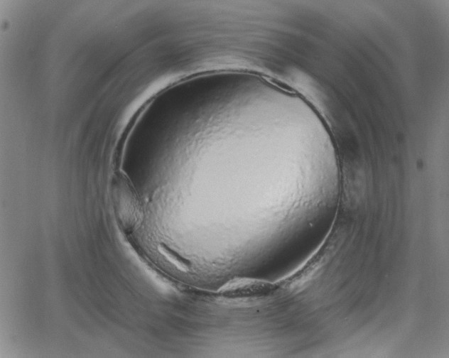 X0000062651142200512230849