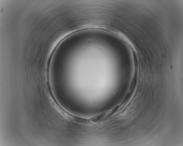 X0000062651148200512230849