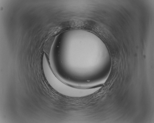 X0000062651153200512230848