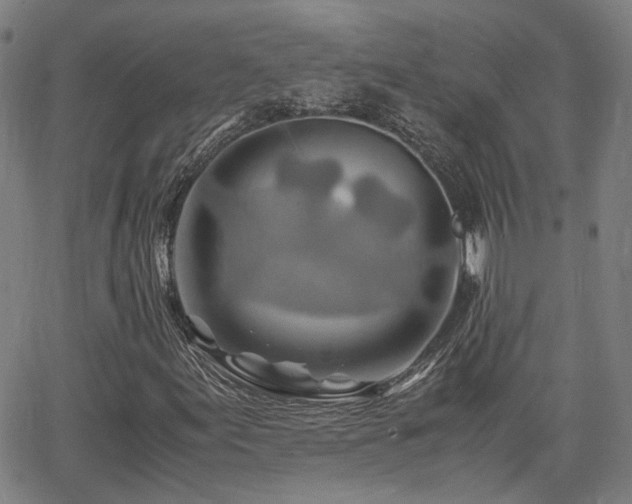 X0000062651155200512230848