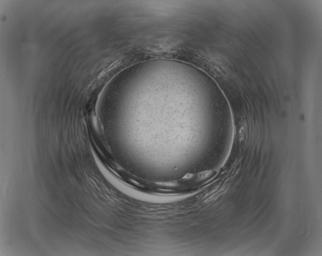 X0000062651156200512230848