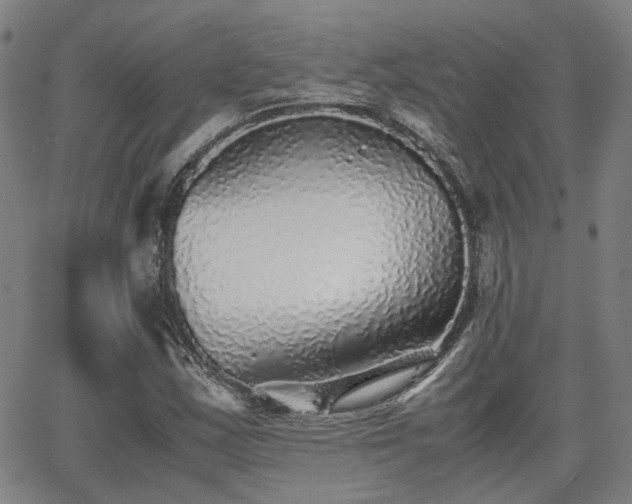 X0000062651163200512230848