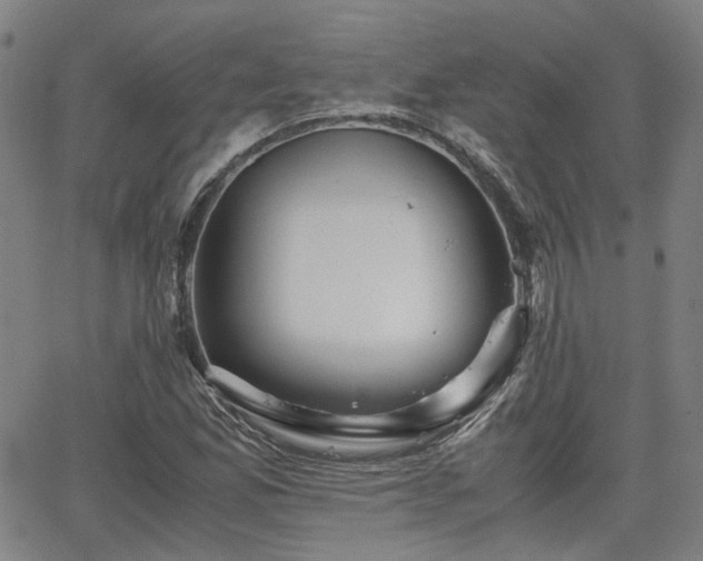 X0000062651165200512230848