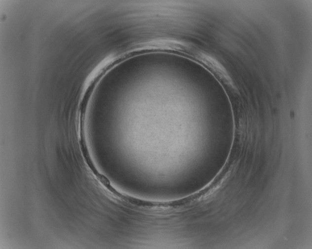 X0000062651180200512230848