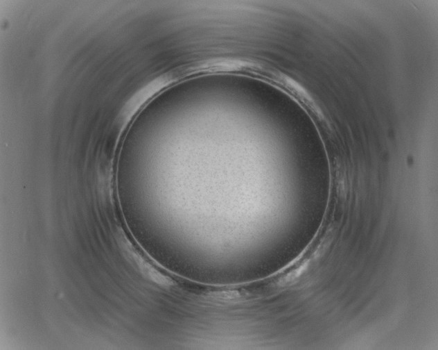 X0000062651186200512230848