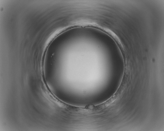 X0000062651191200512230848
