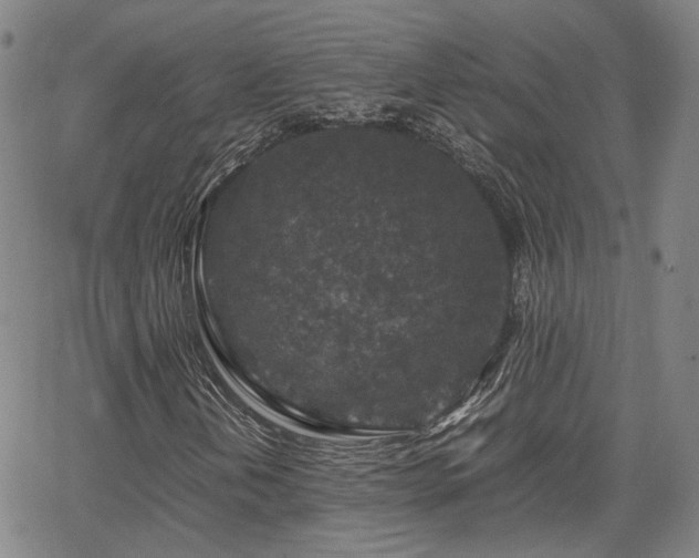 X0000062651202200512230847