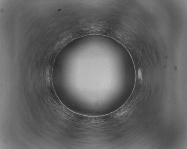X0000062651203200512230847