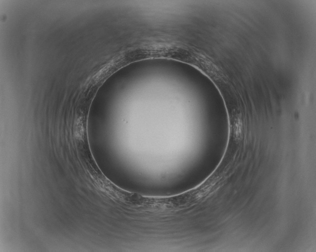 X0000062651204200512230847