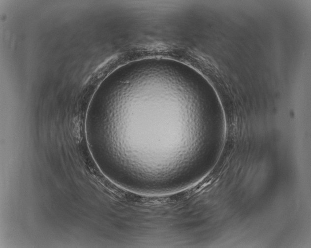 X0000062651205200512230847