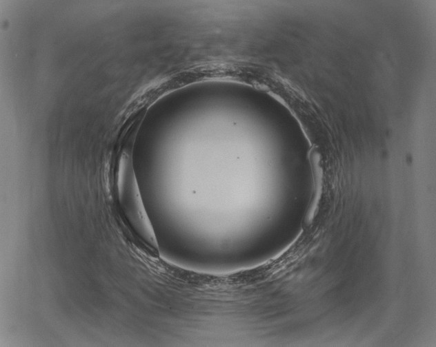 X0000062651206200512230847