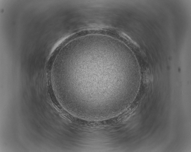 X0000062651208200512230847