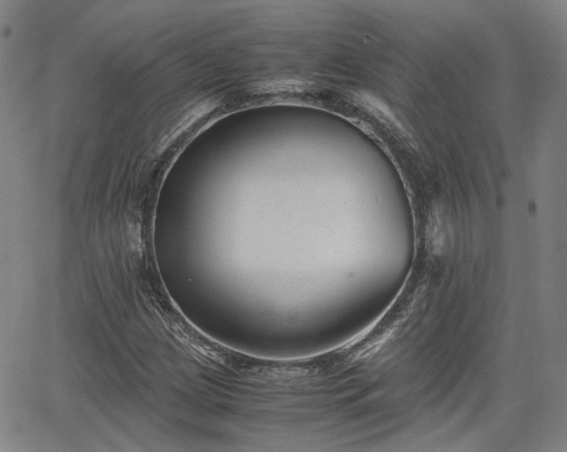 X0000062651209200512230847