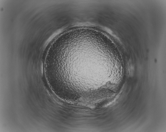 X0000062651221200512230847