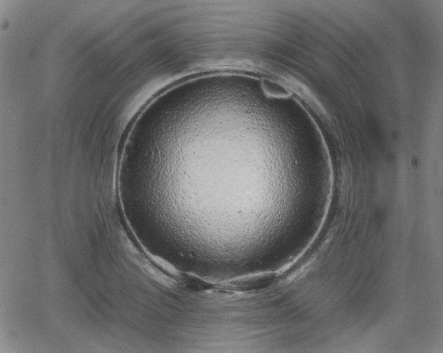 X0000062651228200512230847
