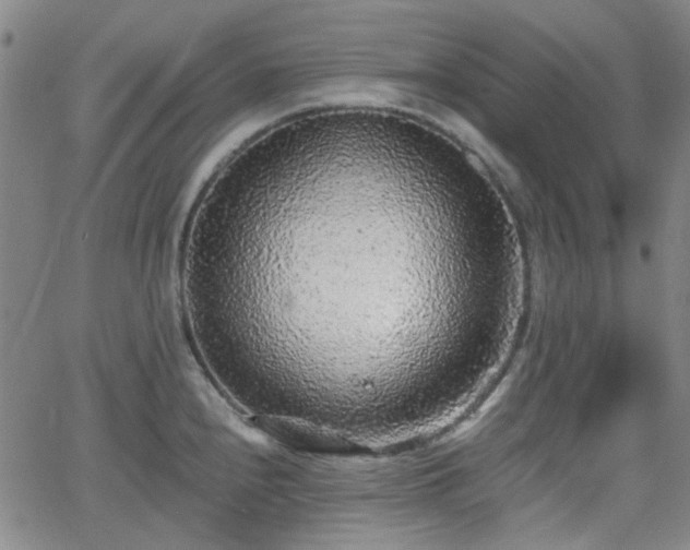 X0000062651240200512230848