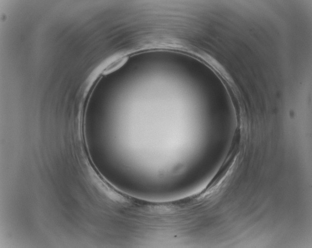 X0000062651246200512230848