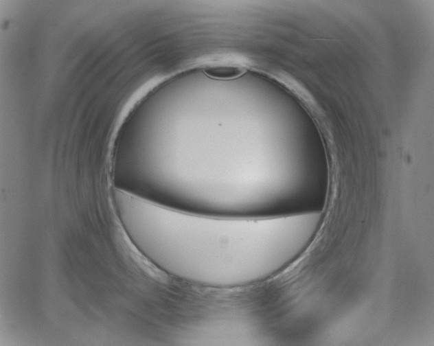 X0000062651248200512230848