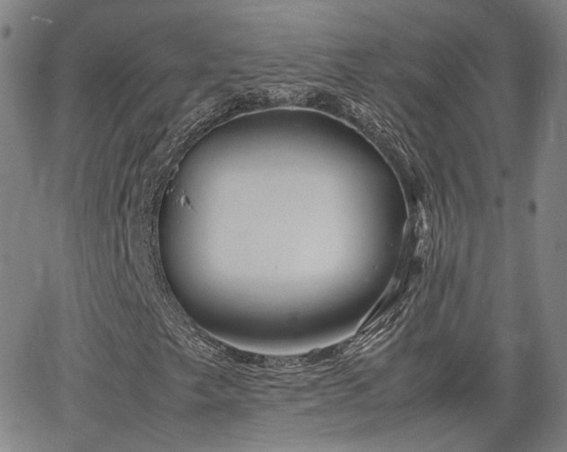 X0000062651249200512230847