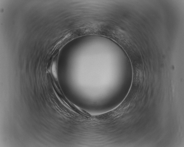 X0000062651250200512230847