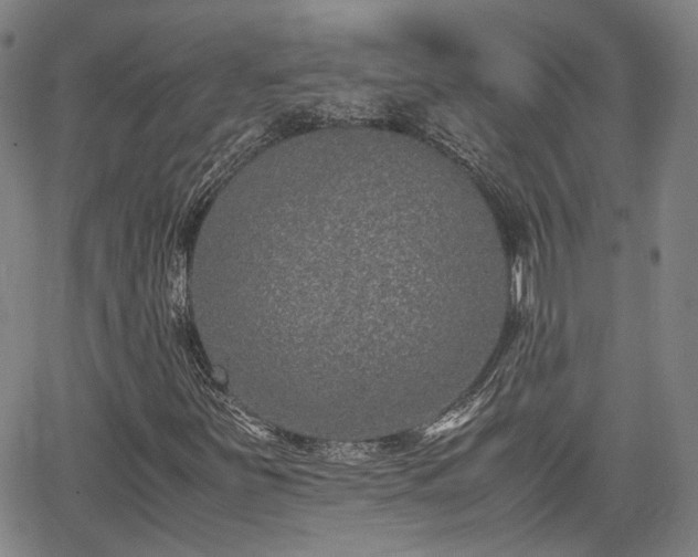 X0000062651251200512230847