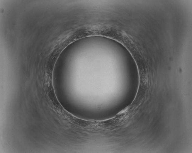 X0000062651253200512230847